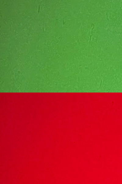 Poster do Filme Tortured Dust Part 4