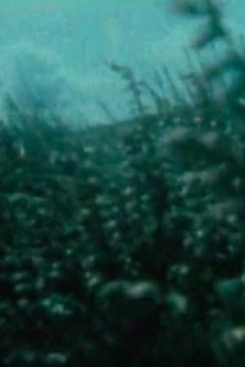 Poster do Filme Nature Trail