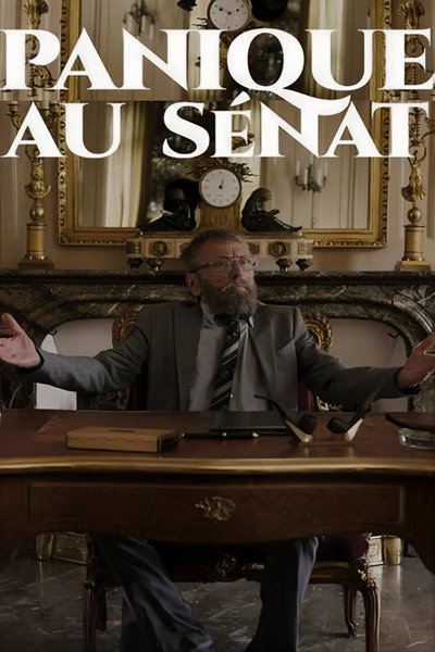 Poster for the movie Panique au Sénat