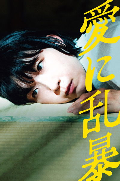 Poster do Filme 愛に乱暴