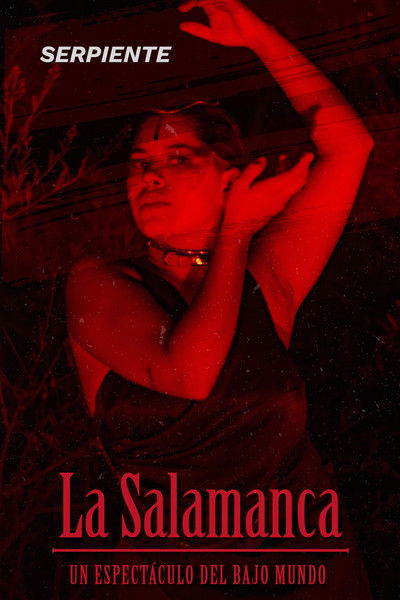 Poster do Filme La Salamanca
