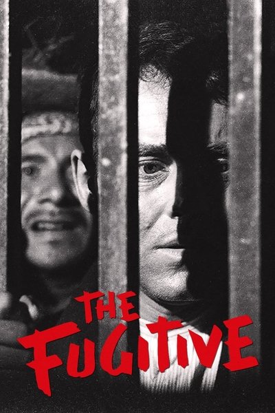 Poster for the movie The Fugitive