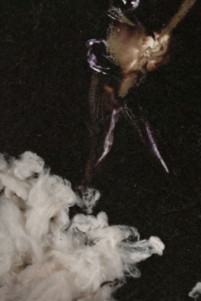 Poster do Filme Lâfdoozi