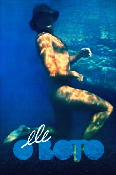 Poster for the movie The Dolphin