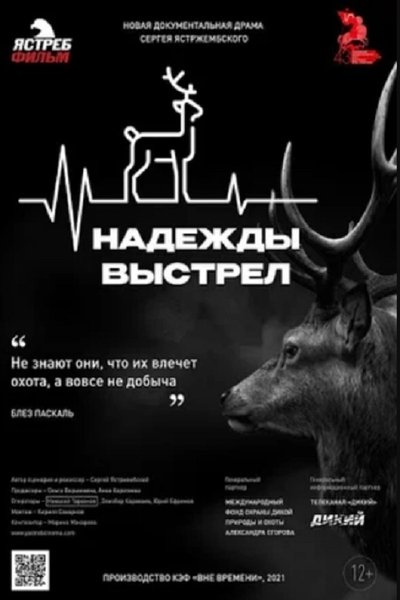 Poster do Filme Надежды выстрел