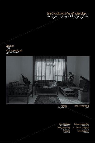 Poster do Filme زندگی من را همچون ... می‌بلعد