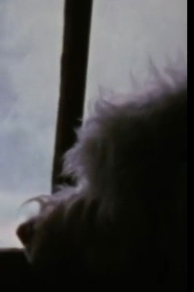 Poster do Filme Sisters