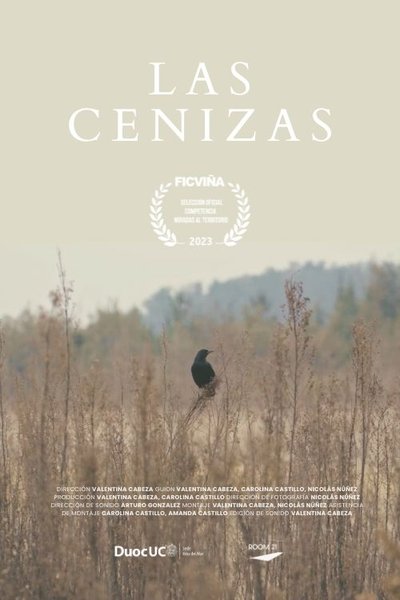 Poster do Filme Las Cenizas