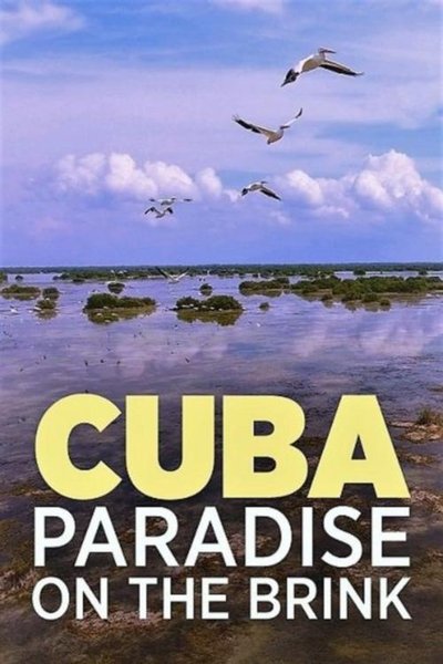 poster Cuba, l’île bleue