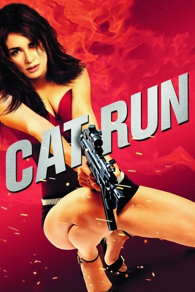 Poster for the movie Cat Run