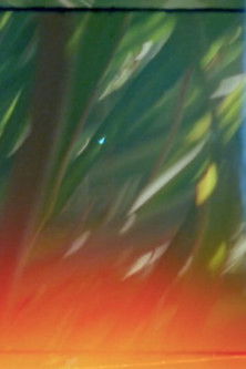 Poster do Filme The Floating Gardens