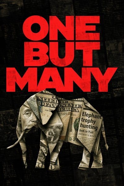 movie poster for One But Many