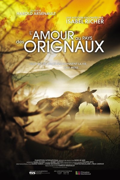 Poster do Filme L'amour au pays des orignaux