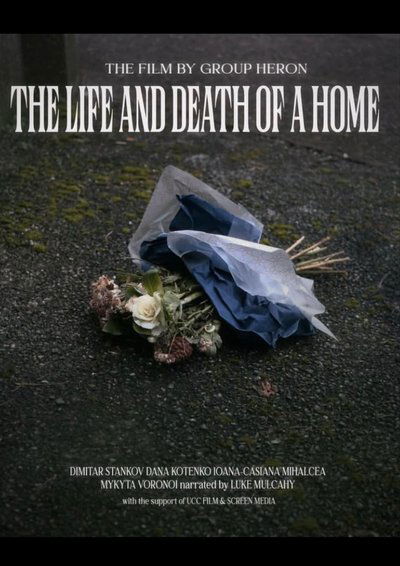Poster do Filme The Life and Death of a Home