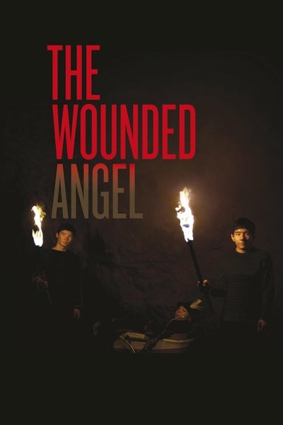 Poster do Filme The Wounded Angel