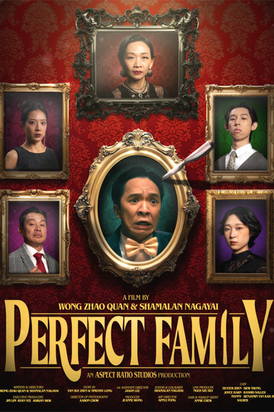 Poster do Filme Perfect Family