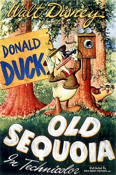 Poster for the movie Old Sequoia