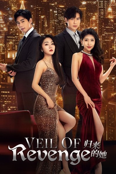 poster for Veil of Revenge