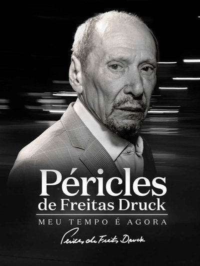 Poster do Filme Péricles de Freitas Druck - Meu Tempo é Agora