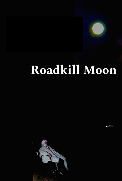 Poster do Filme Roadkill Moon