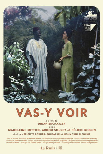 Poster do Filme Vas-y voir