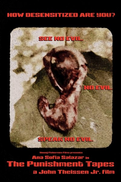 movie poster for The Punishment Tapes