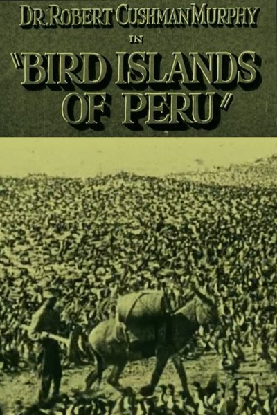Poster do Filme Bird Islands of Peru