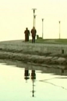 Poster do Filme Našlių pakrantė