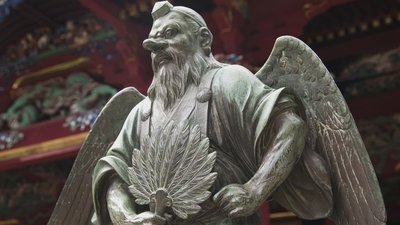 The Birdman Mystery