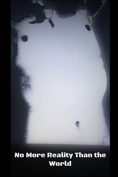 Poster do Filme No more reality than the world