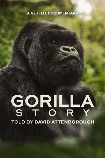 A Gorilla Story: l'incontro di David Attenborough