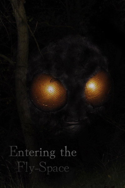 Entering the Fly-Space