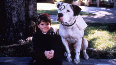 Görsel #319920