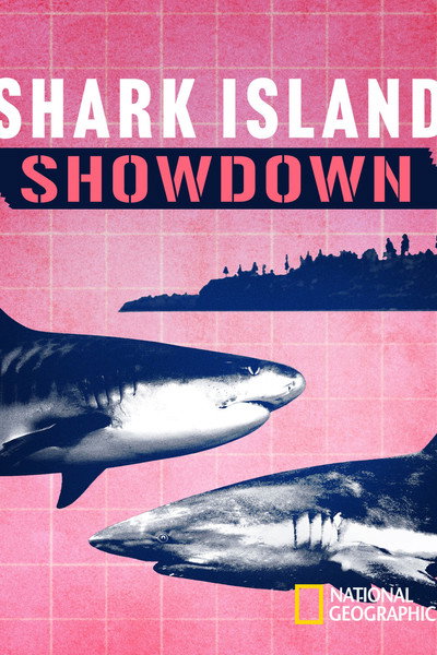 Shark Island Showdown