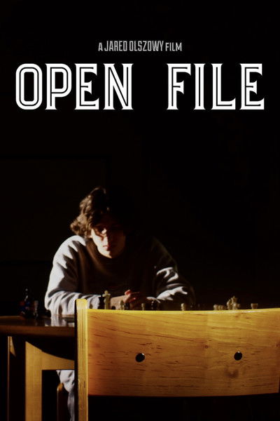 Poster do Filme Open File