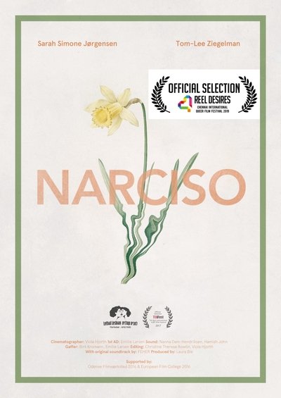 Poster do Filme Narciso