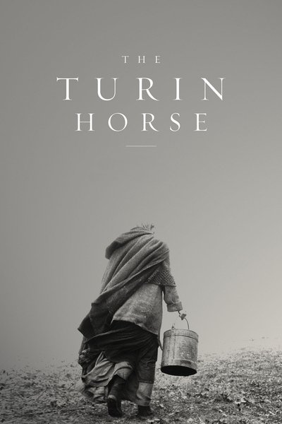 Poster for the movie The Turin Horse