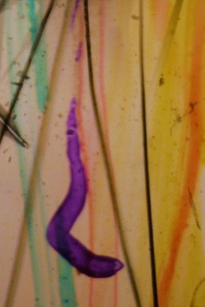 Poster do Filme Visions From My Scalp