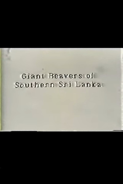 Poster do Filme Giant Beavers of Southern Sri Lanka