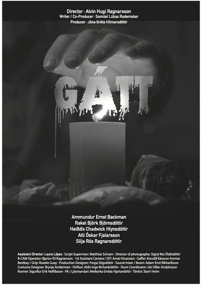 Poster do Filme Gátt