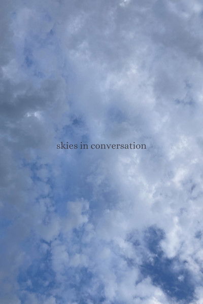 Poster do Filme skies in conversation