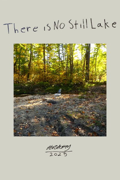 Poster do Filme There is No Still Lake