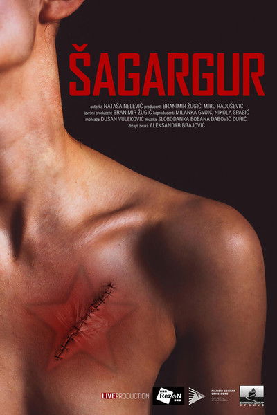 Poster do Filme Шагаргур