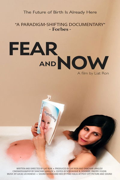 movie poster for Fear and Now