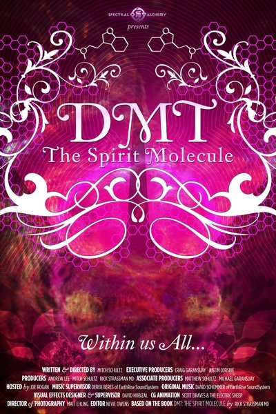 Poster for the movie DMT: The Spirit Molecule