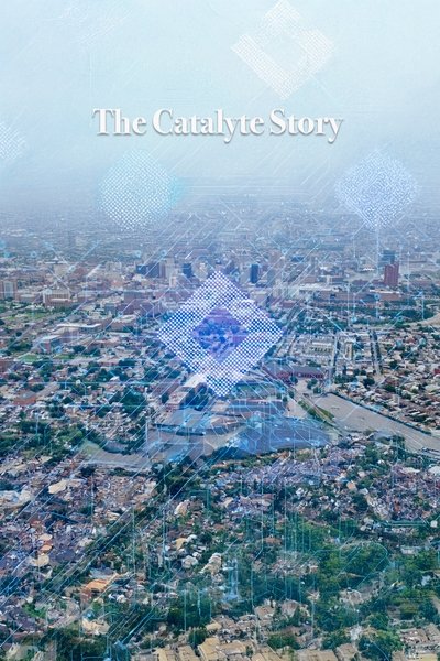movie poster for The Catalyte Story