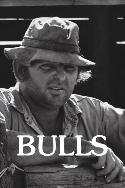 Poster do Filme Bulls
