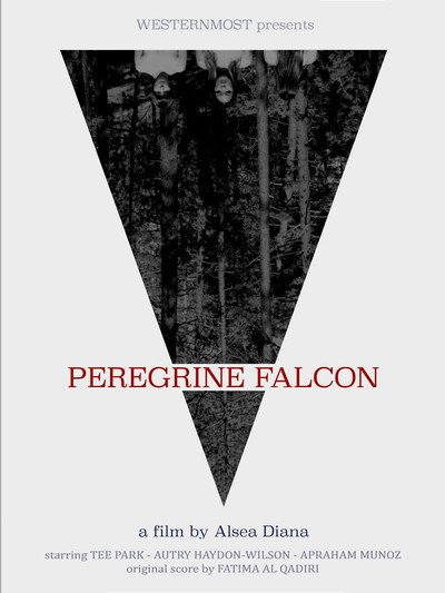Peregrine Falcon