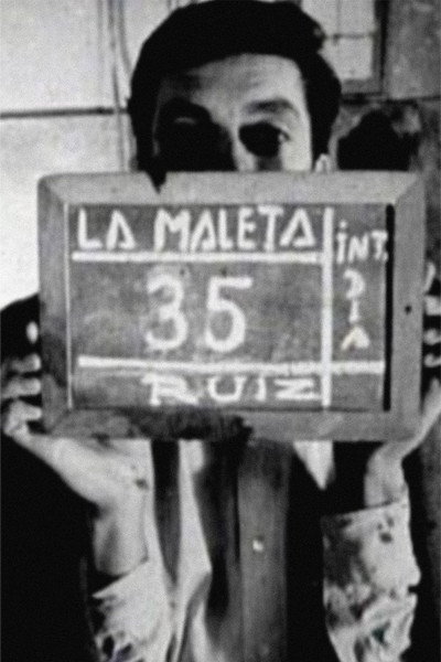 The Suitcase