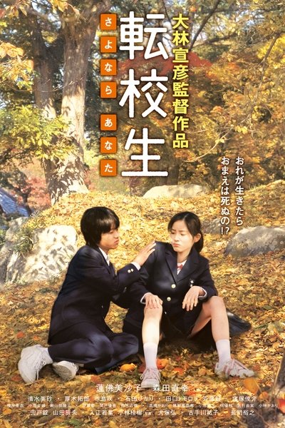 Poster for the movie Switching – Goodbye Me